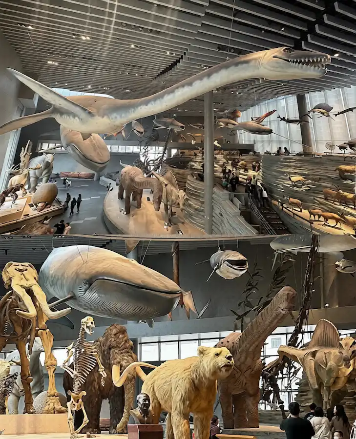 best attractions in shanghai:Shanghai Natural History Museum