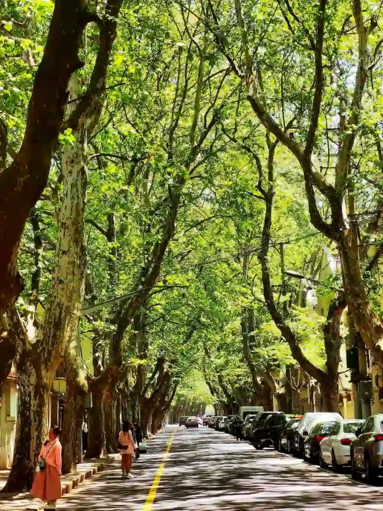 Best Tourist Attractions in Shanghai:Shanghai Wukang Road and Anfu Road Historical and Cultural District