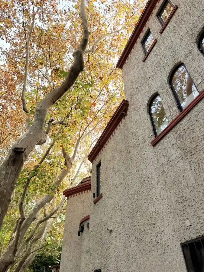 Best time to visit Shanghai autumn lane